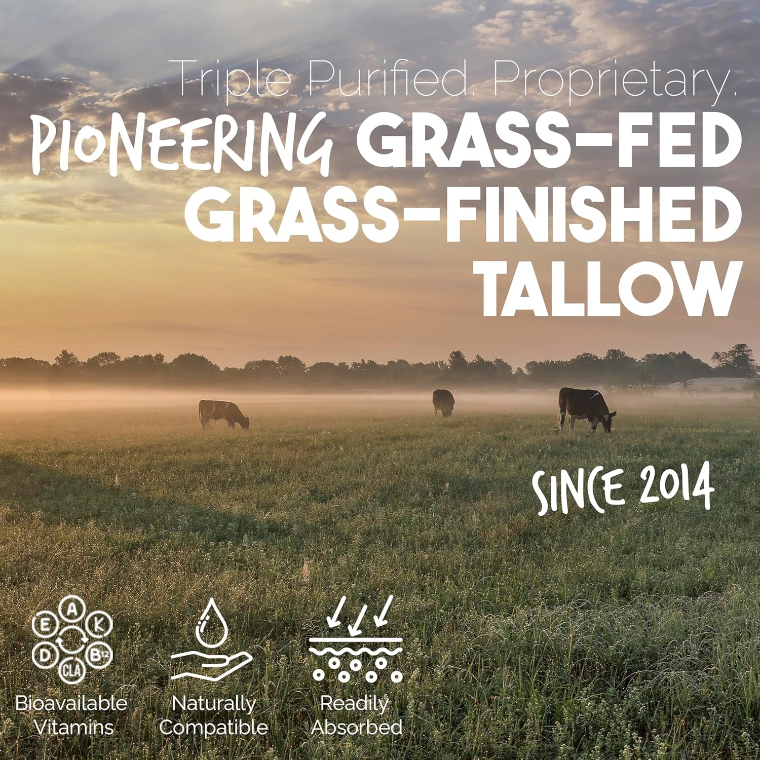 Manuka Defense Healing Balm