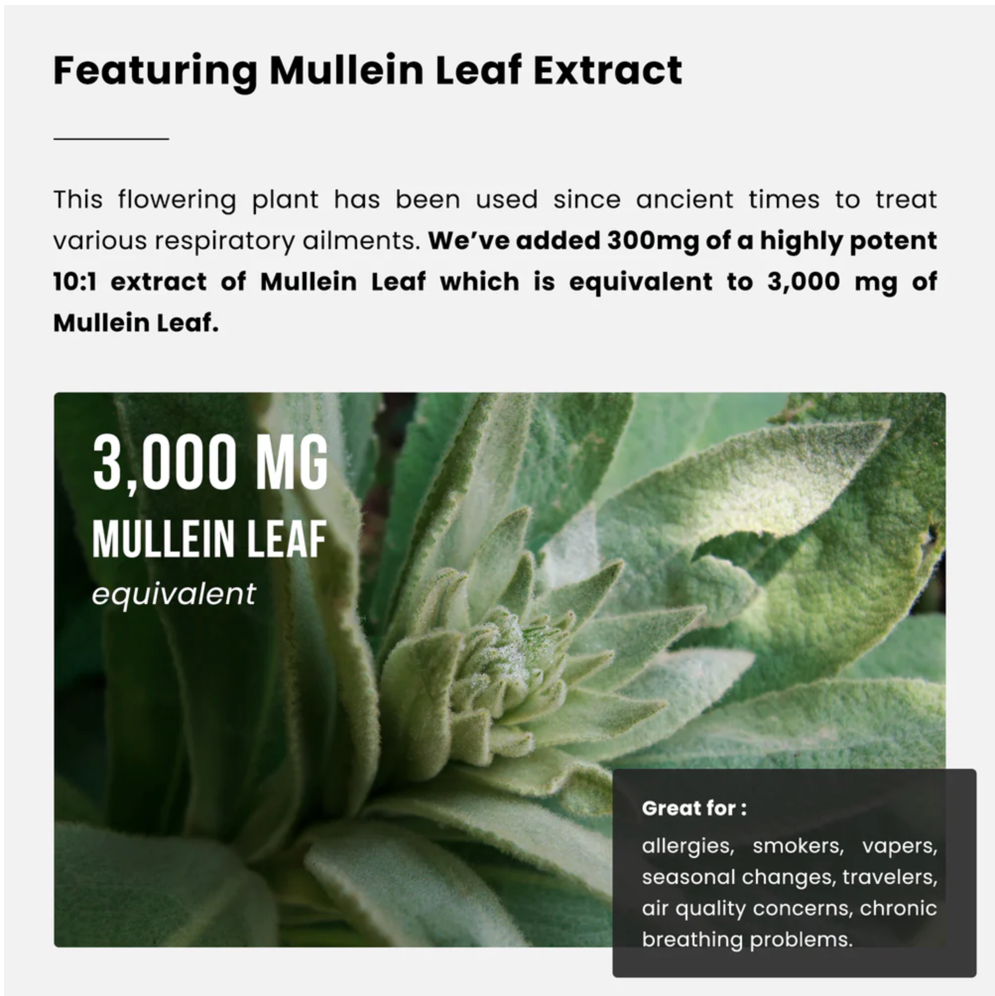 NutraChamps lung detox & cleanse